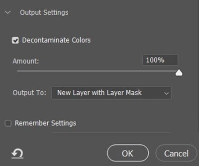 New Layer with Layer Mask