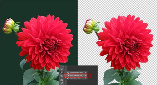 Make Transparent Background Using Quick Selection
